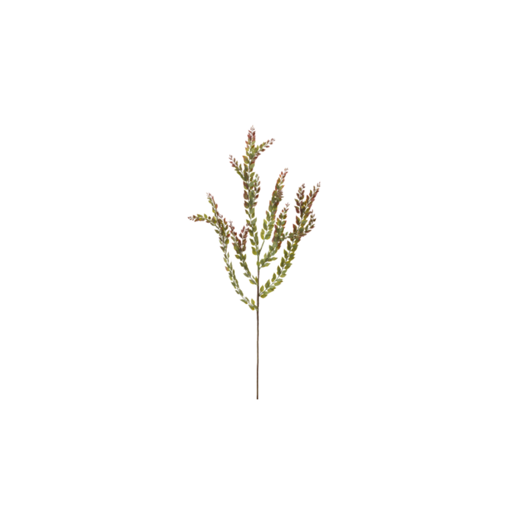 Rama mini sumac gr