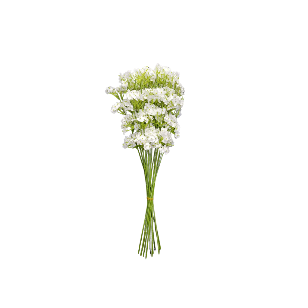 Ramo de flores blancas