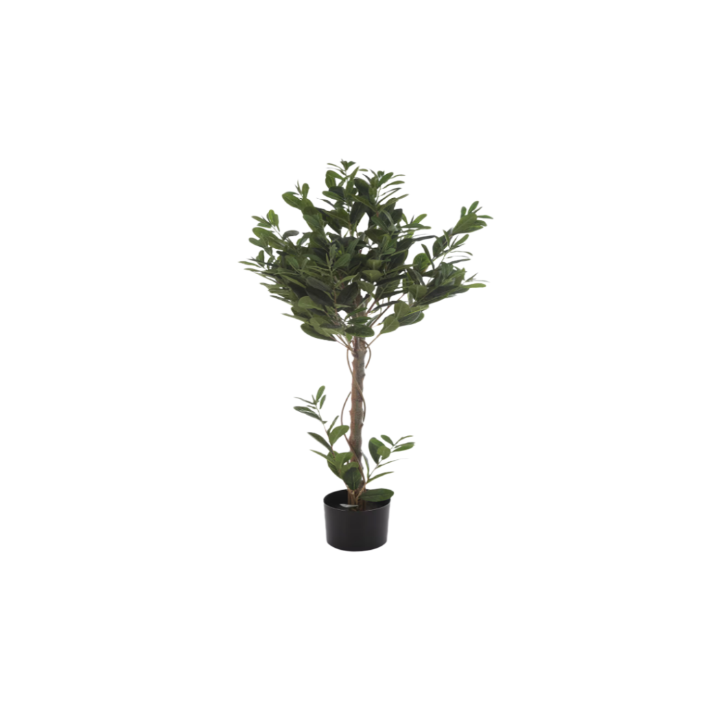 Árbol olivo de 120 cm