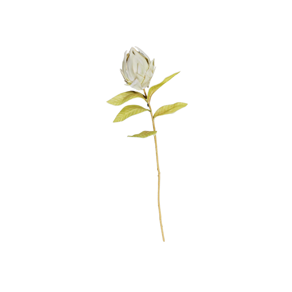 Decoración artificial - Protea crema