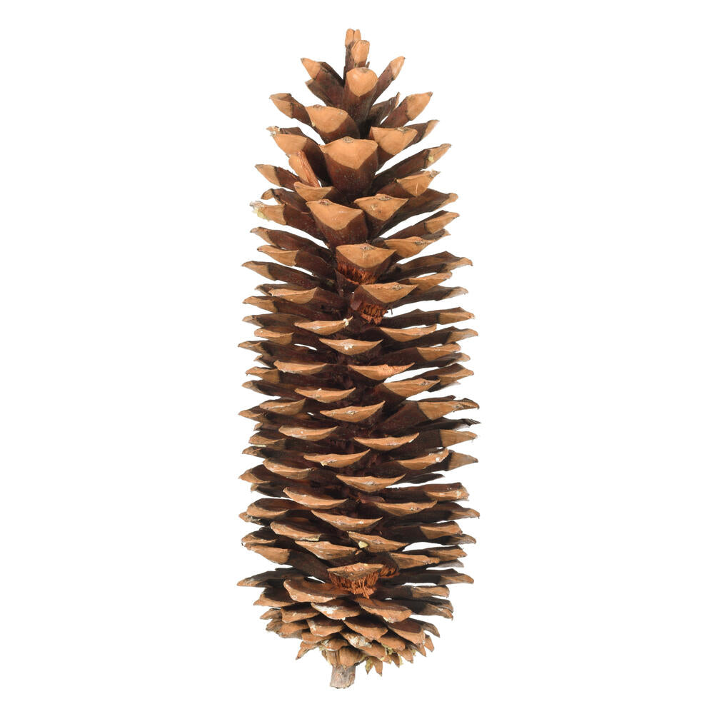 Piña navideño