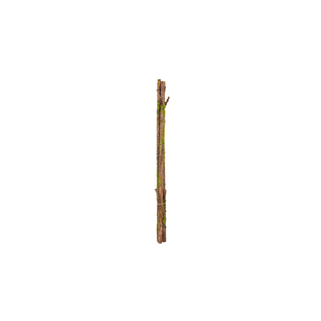 Rama de musgo - paquete x 3