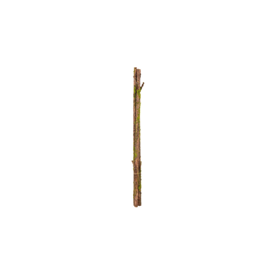 Rama de musgo - paquete x 3