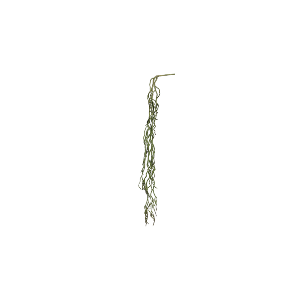 Decoración artificial - Orquidea raíz