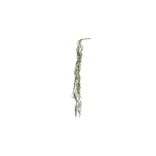 Decoración artificial - Orquidea raíz