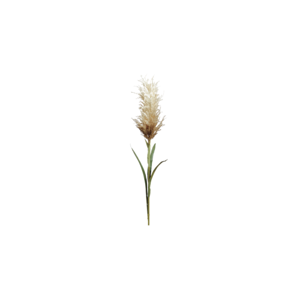 Decoración artificial - Pampas con hierbas
