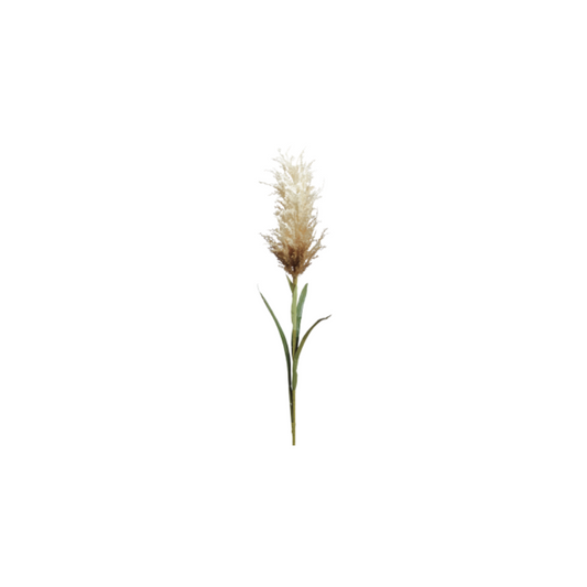 Decoración artificial - Pampas con hierbas