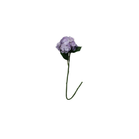 Flor hortensia blanca