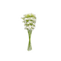 Ramo de flores blancas