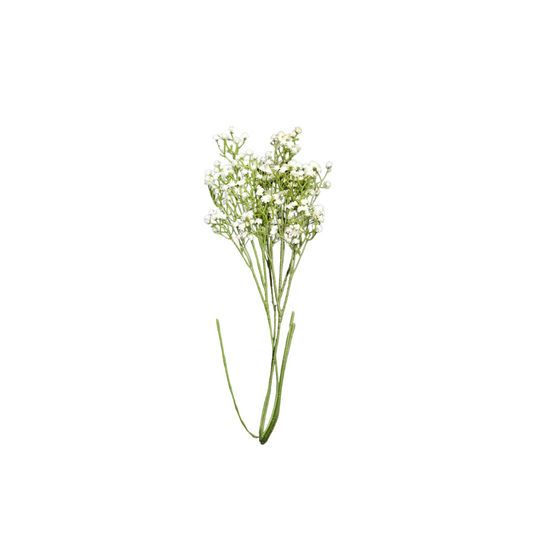Ramo de flores blancas
