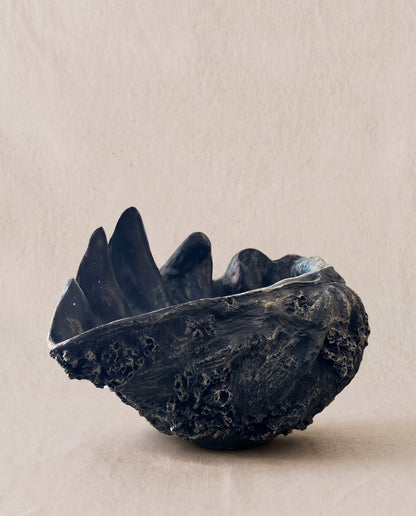 Concha gigante azul bahía