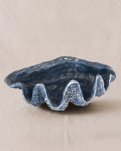 Concha gigante azul bahía
