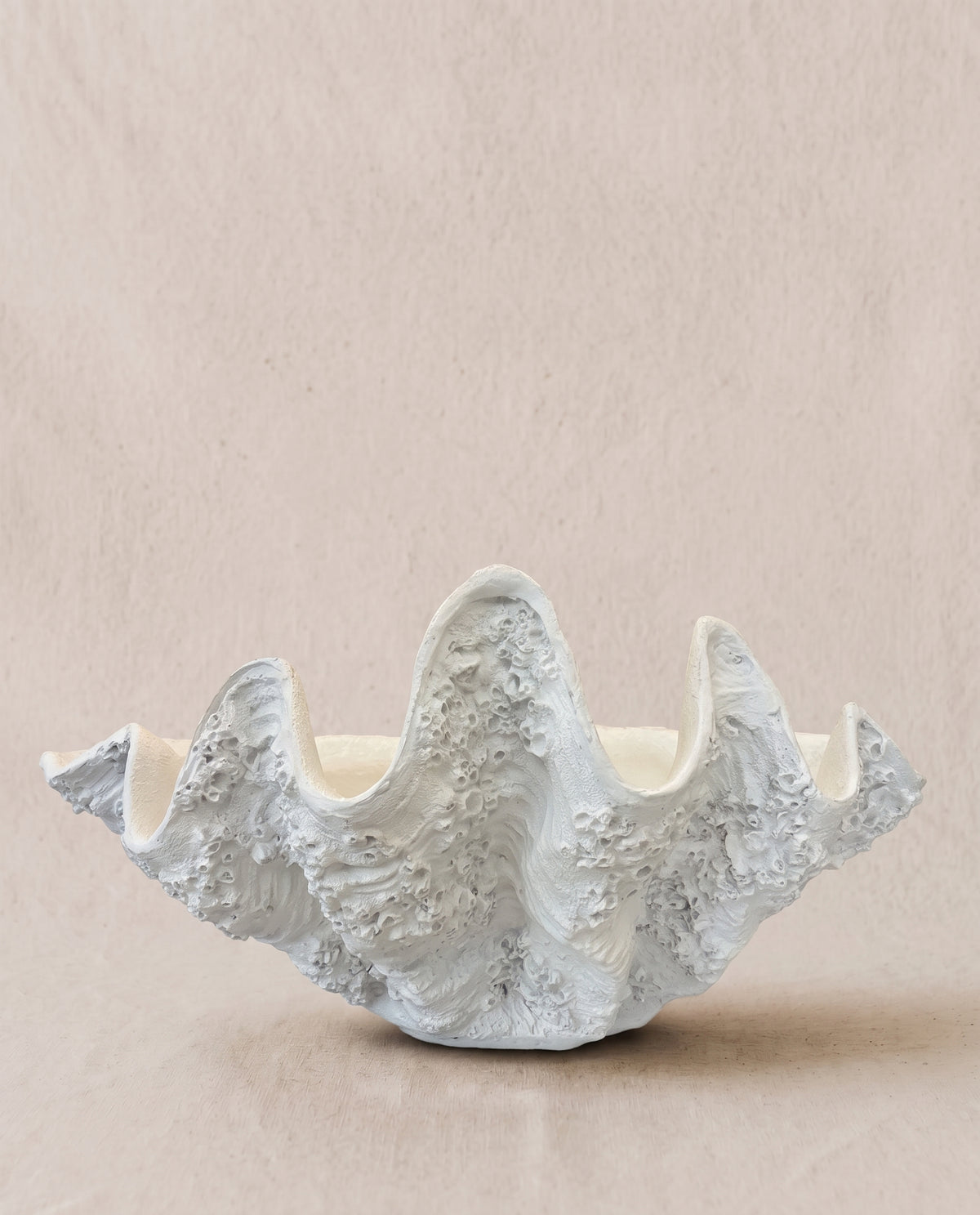 Concha gigante granito blanco