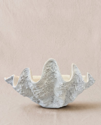 Concha gigante granito blanco