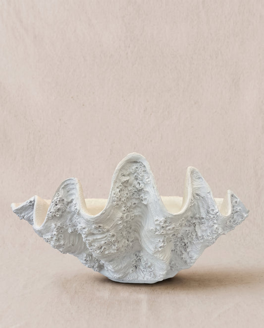 Concha gigante granito blanco