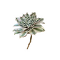 Decoración artificial - Flor de suculenta