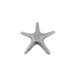 Estrella de mar plateado