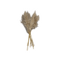 SET DE 5 PAMPAS NATURALES DE 90-100 CM