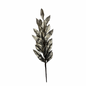 VARA HOJA LAUREL CHAMP