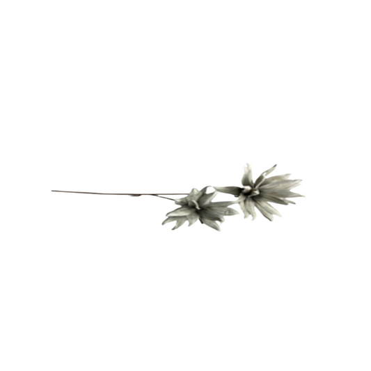 Decoración artificial - Flor foam dbl gris