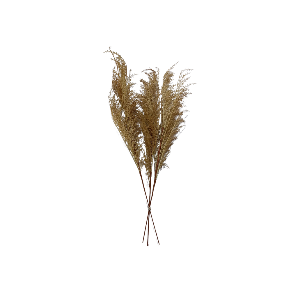 Vara phoenix beige