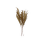 Vara phoenix beige