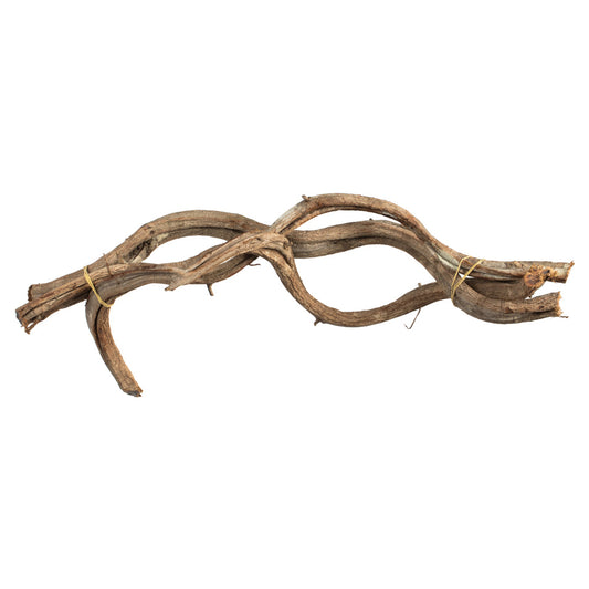 Rama enredadera trenzada natural - Set x 3
