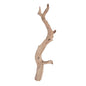 Tronco Ghostwood Manzanita pulido